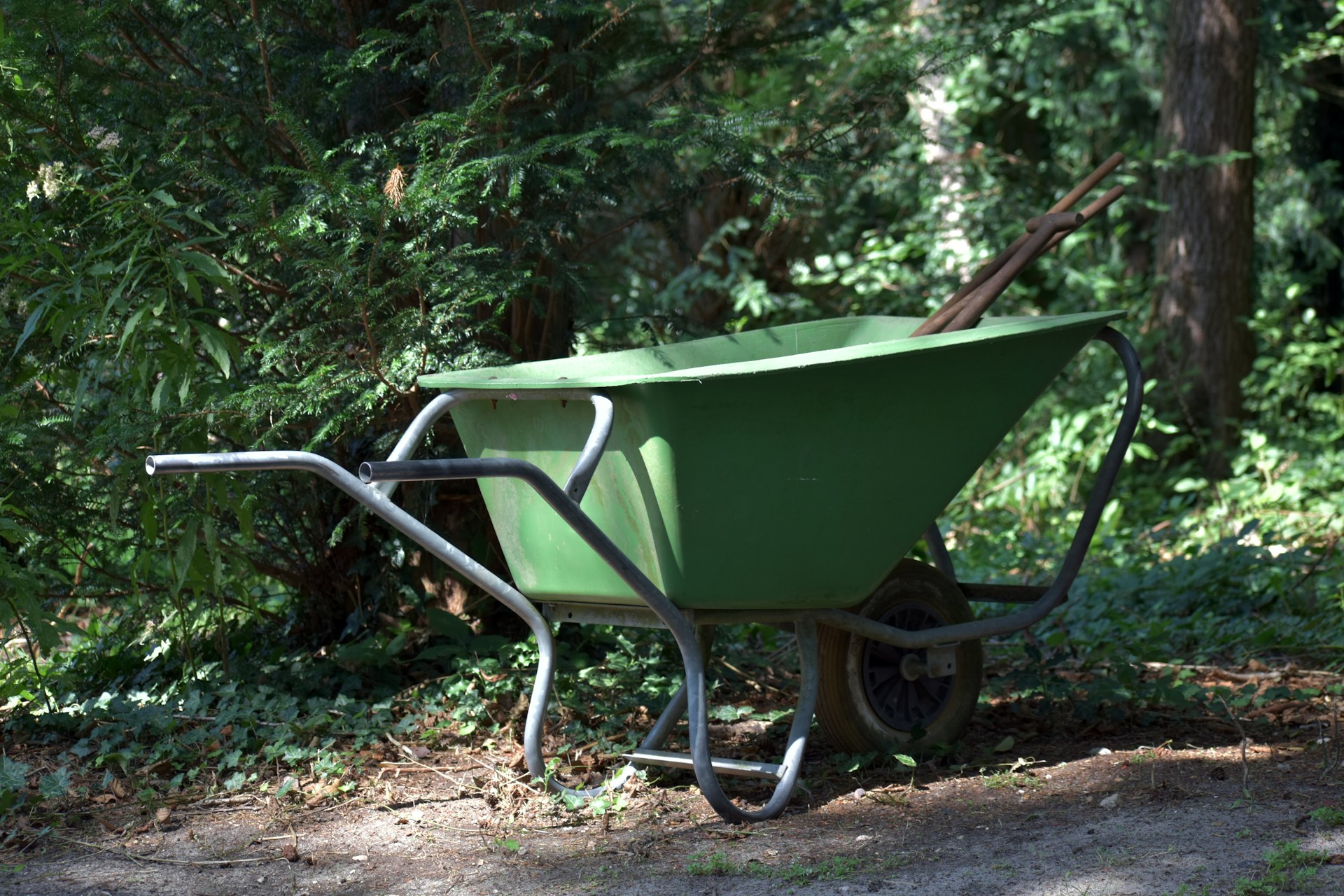 A green wheelbarrow sitting in the middle of a forest